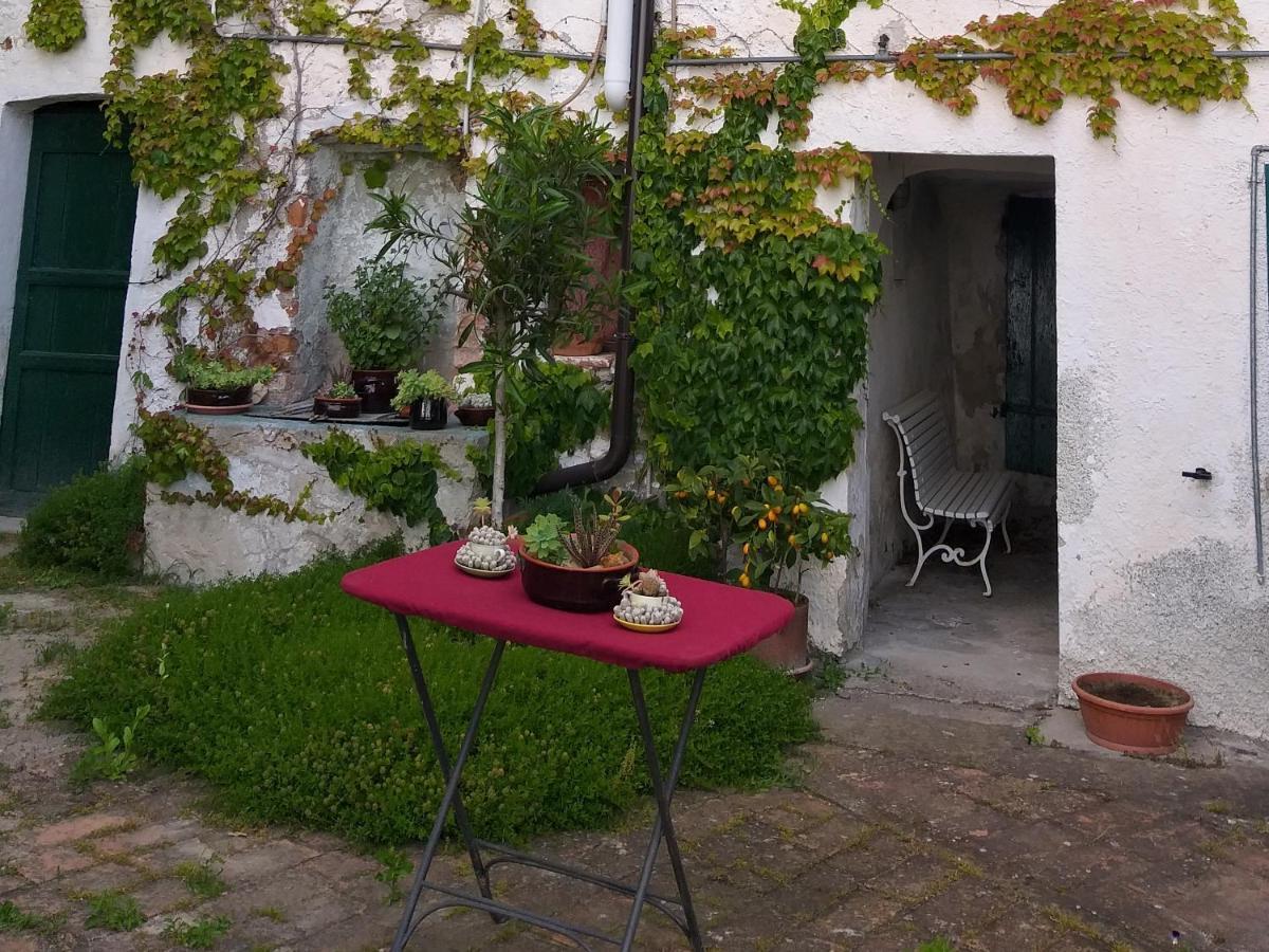 La Punta Dei Crociati Bed & Breakfast Parodi Ligure Dış mekan fotoğraf